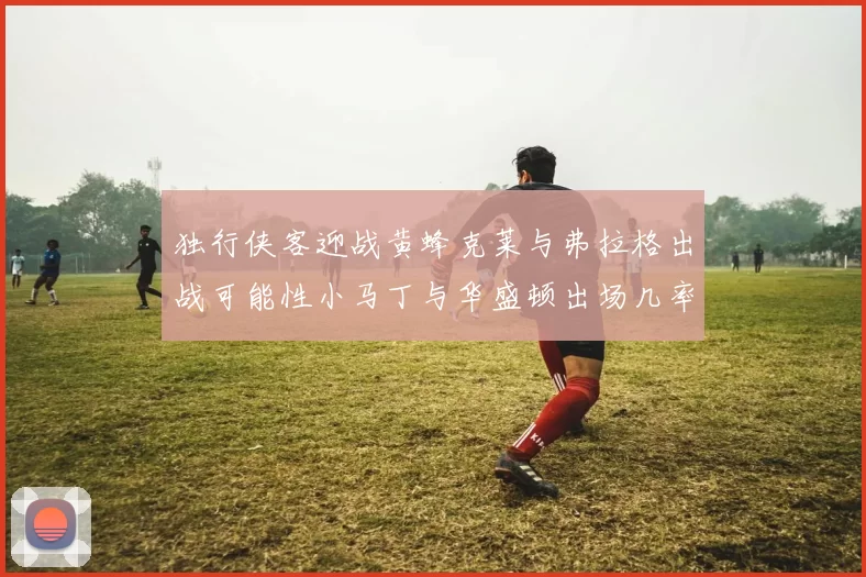 独行侠客迎战黄蜂克莱与弗拉格出战可能性小马丁与华盛顿出场几率高